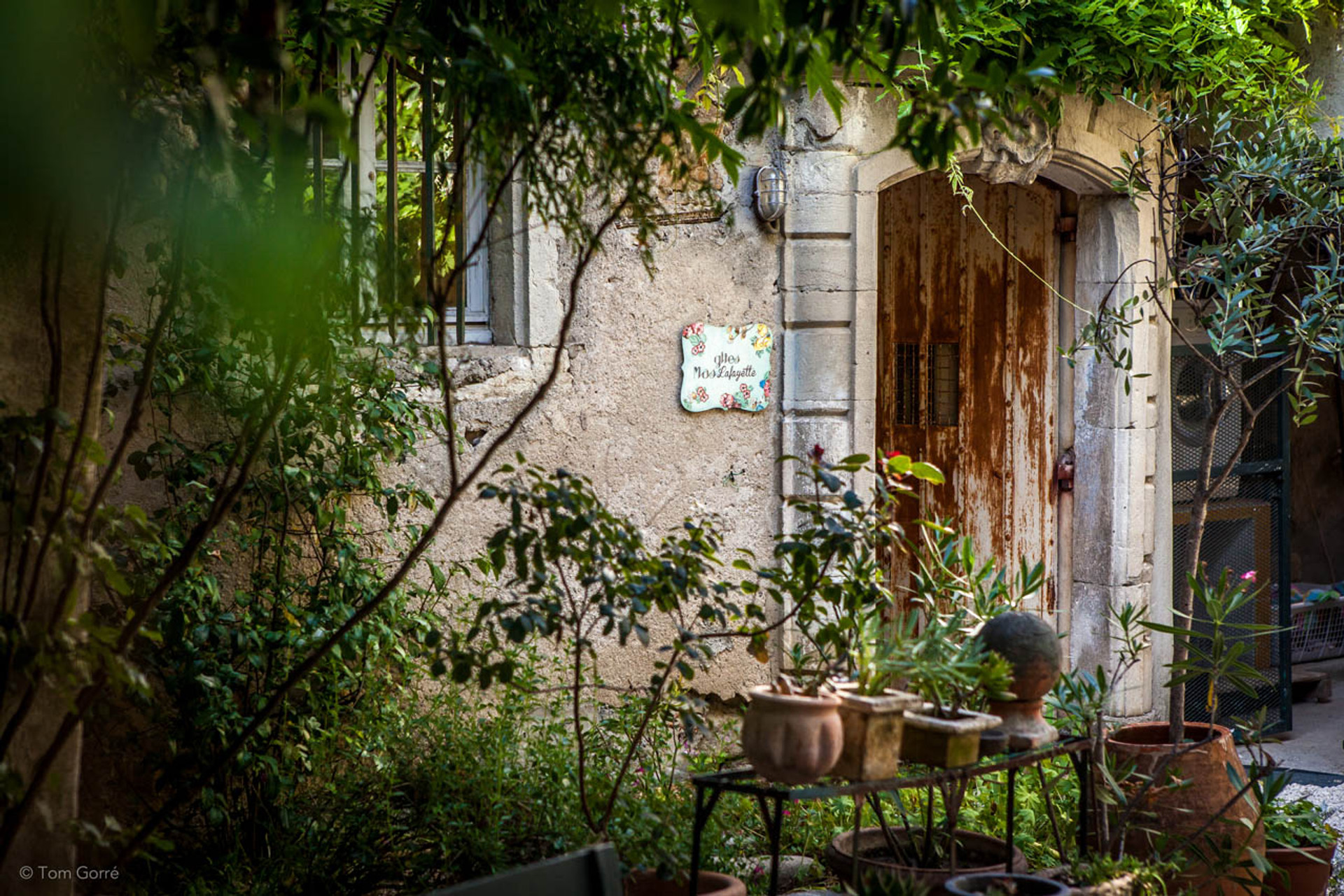 Mas Lafayette domein